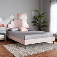 Baxton Studio BBT6897-Light Pink Velvet/Walnut-Queen Odille Modern Glam Light Pink Velvet Upholstered Walnut Brown Finished Wood Queen Size Seashell Shaped Platform Bed